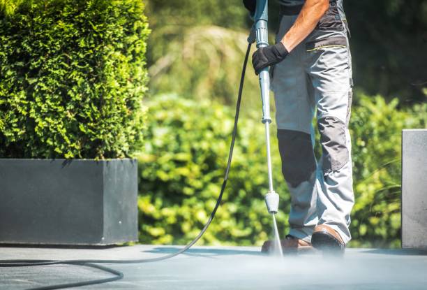 Best Pre-Holiday Cleaning  in Alamo, GA